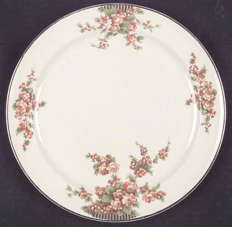 Acacia Dinner Plate by Taylor, Smith & Taylor (Ts&T)-1