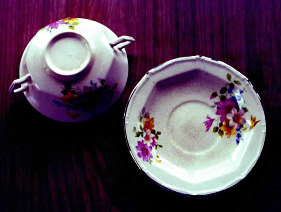 TST472 Footed Cup & Saucer Set by Taylor, Smith & Taylor (Ts&T)-1