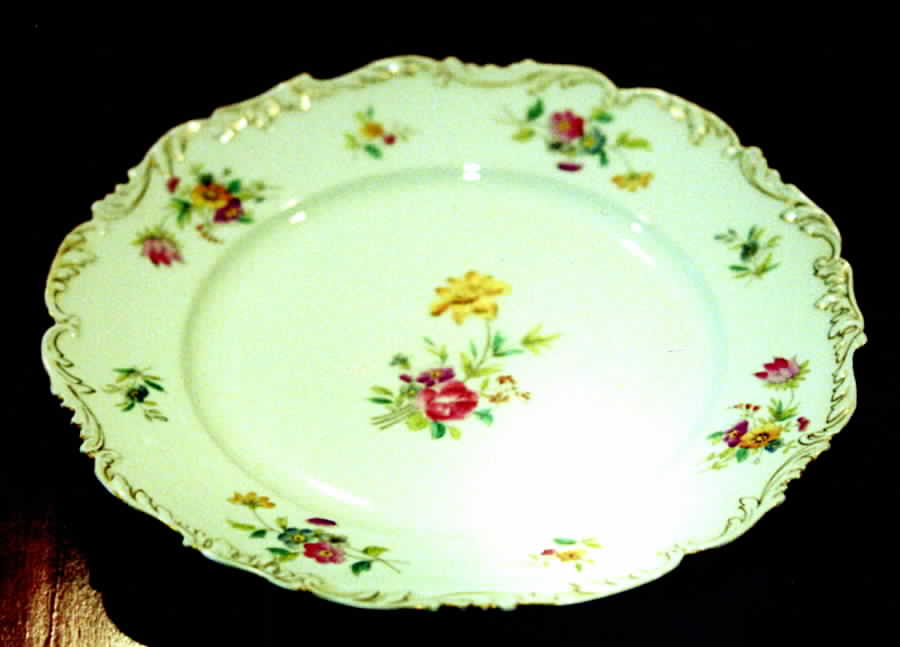 TRV300 Dinner Plate by Tressemanes & Vogt-1