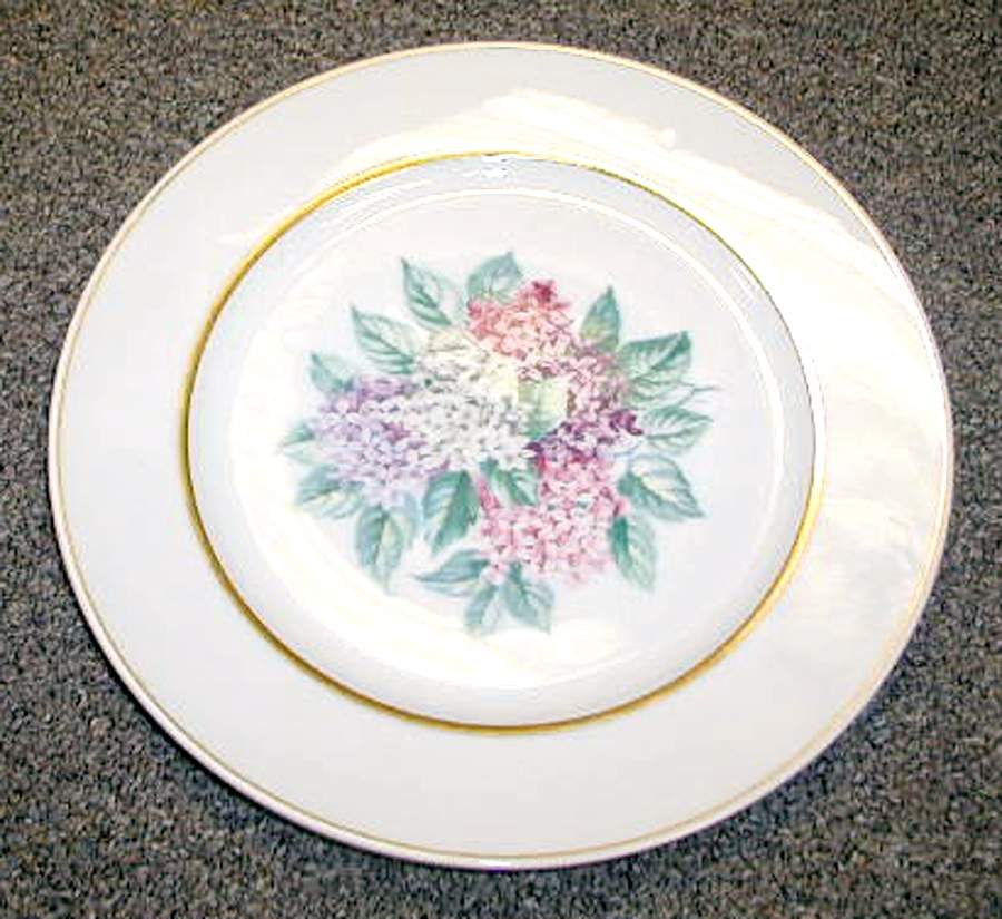 7392 Dinner Plate by Thomas-1