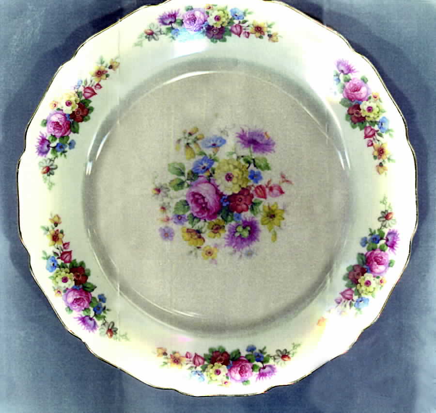 THO205 Salad Plate by Thomas-1