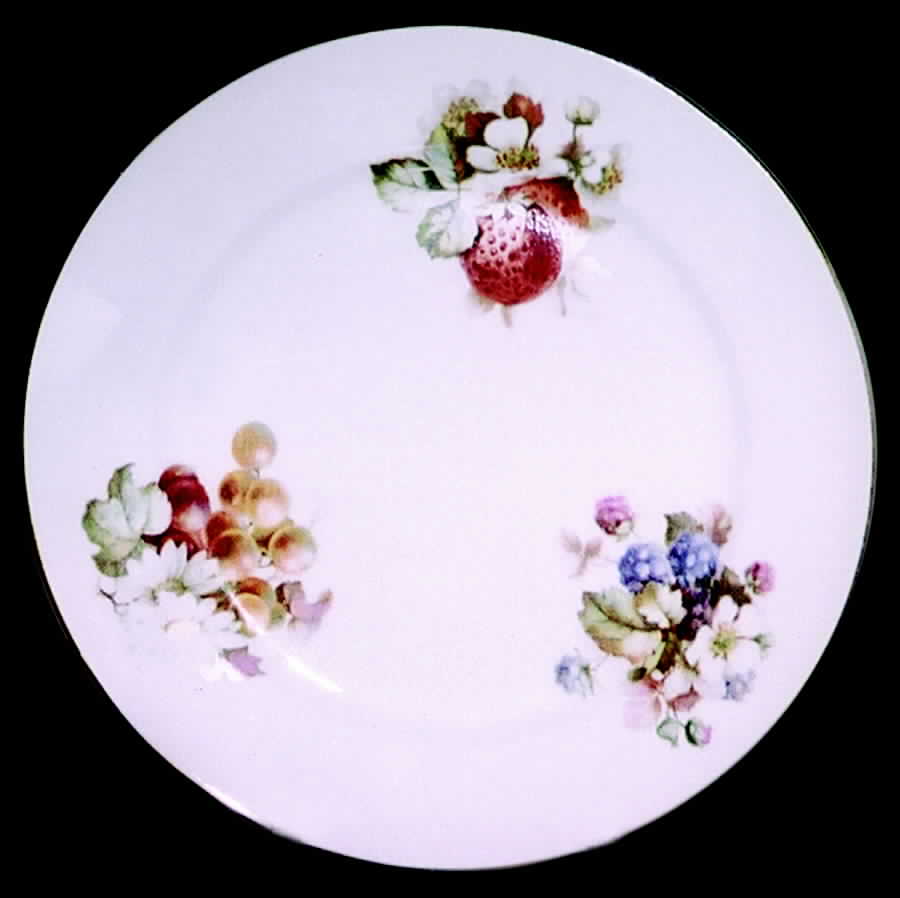 3283 Salad Plate by Thomas-1