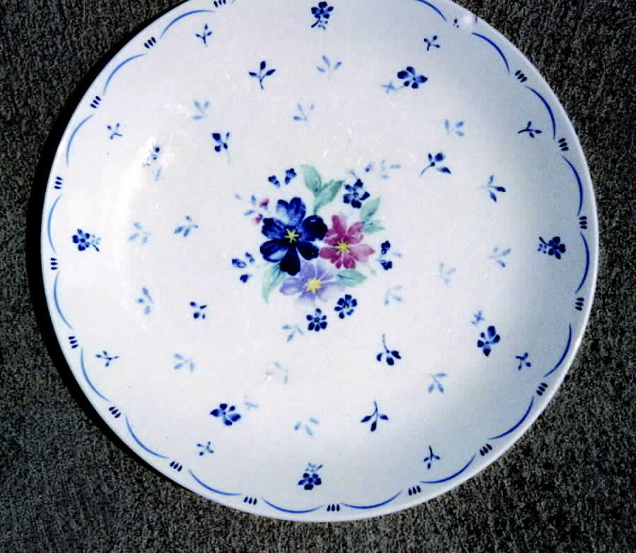 1783 Dinner Plate by Trisa-1
