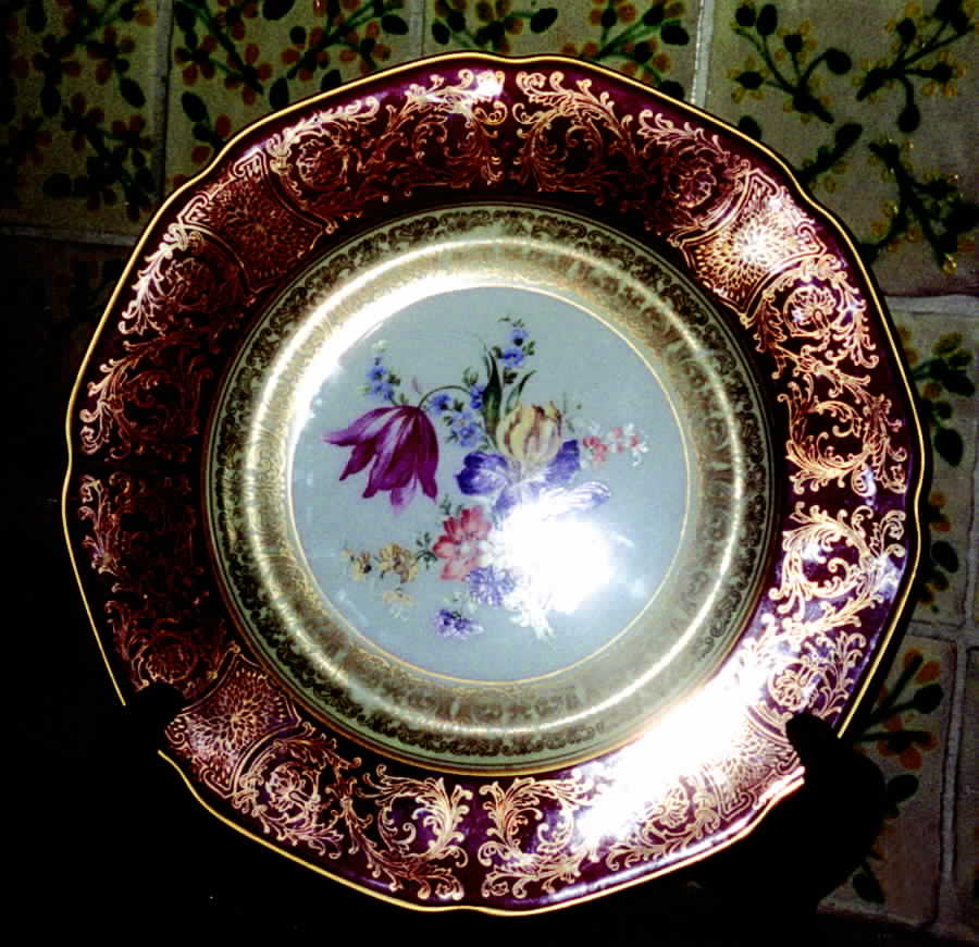 TIR261 Dinner Plate by Tirschenreuth-1