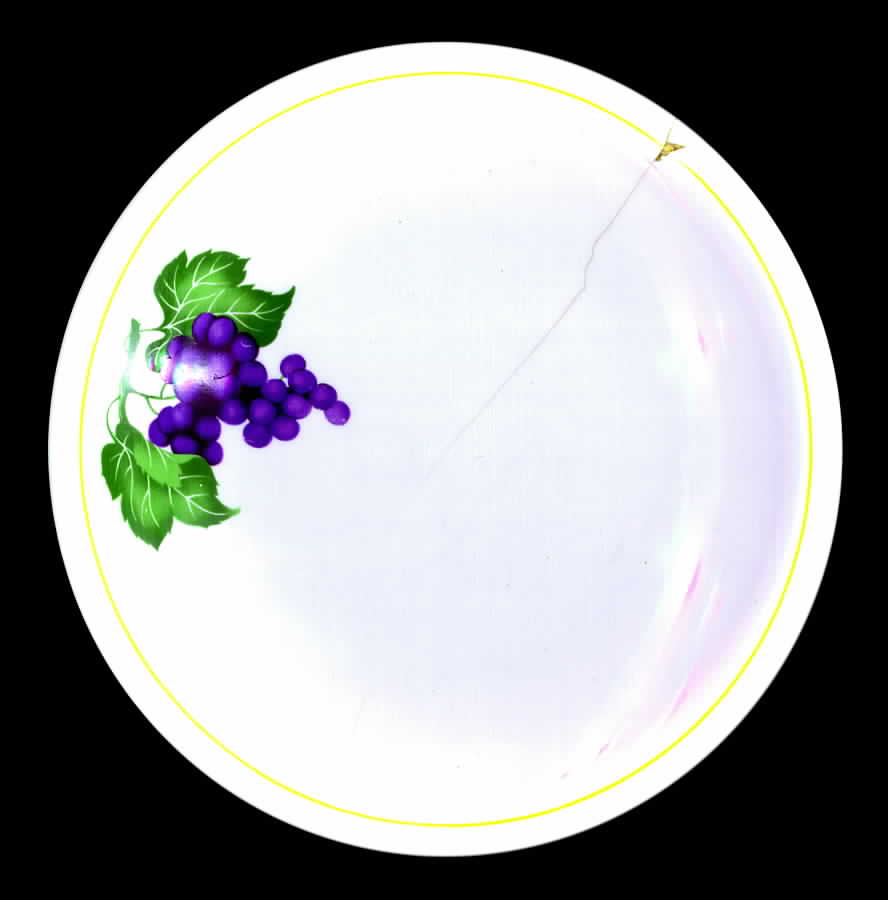 TOG27 Dinner Plate by Tognana-1