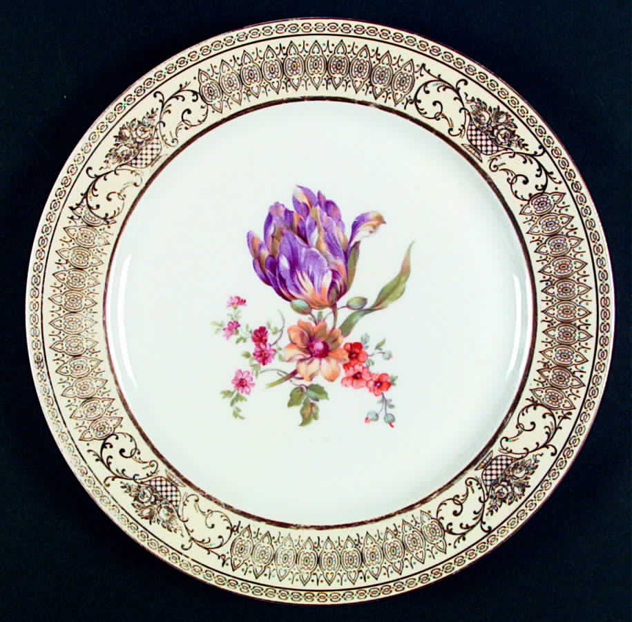 TIR270 Dinner Plate by Tirschenreuth-1