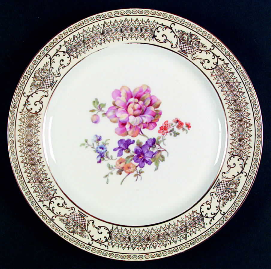 TIR270 Dinner Plate by Tirschenreuth-1