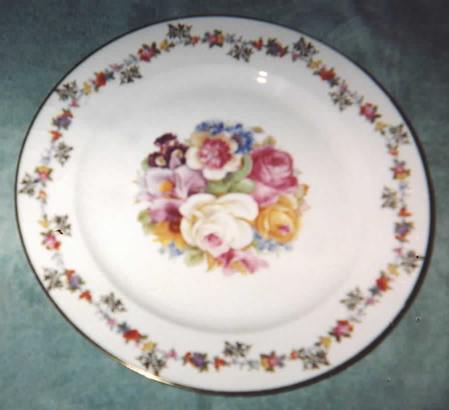 TIR271 Dinner Plate by Tirschenreuth-1