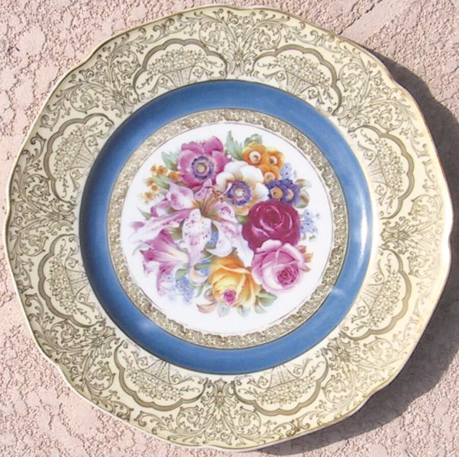 TIR272 Dinner Plate by Tirschenreuth-1