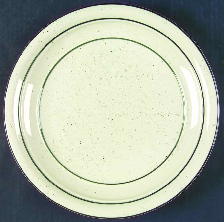 Green Crock (Flecks) Dinner Plate by Tienshan-1