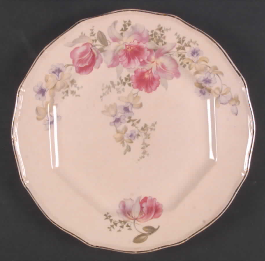 TST496 Dinner Plate by Taylor, Smith & Taylor (Ts&T)-1