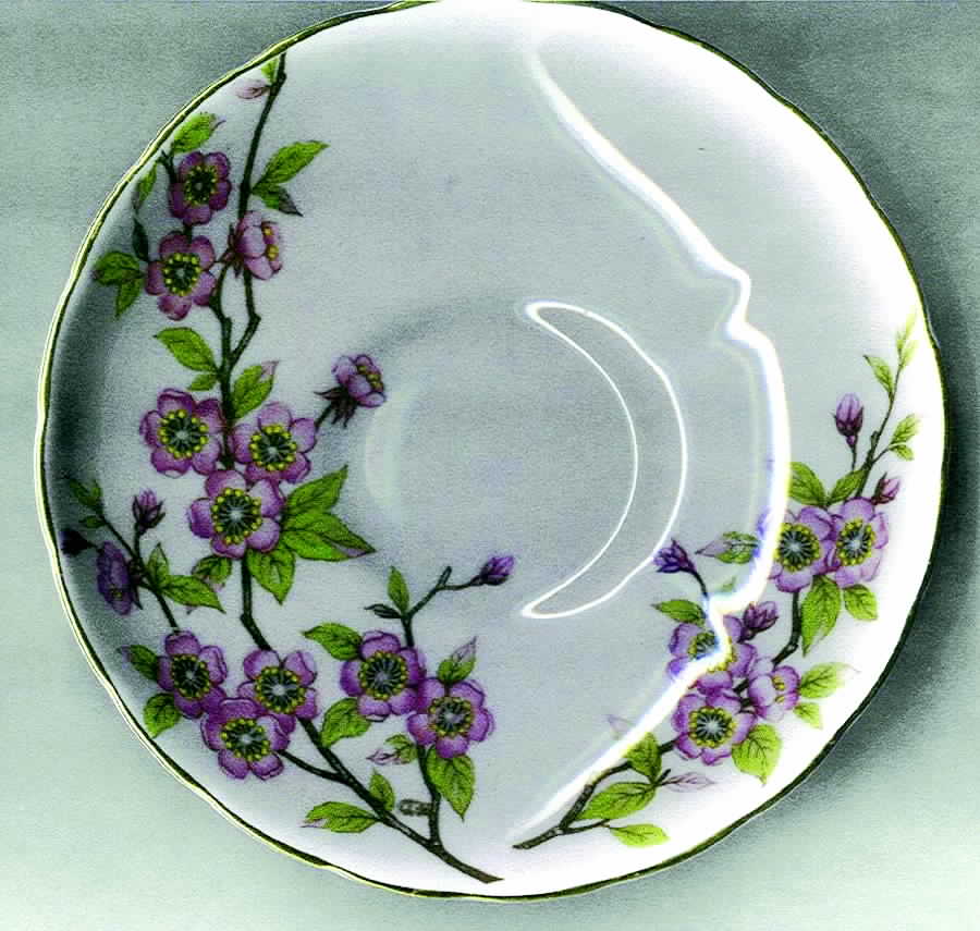 Springtime Saucer by Tuscan - Royal Tuscan-1