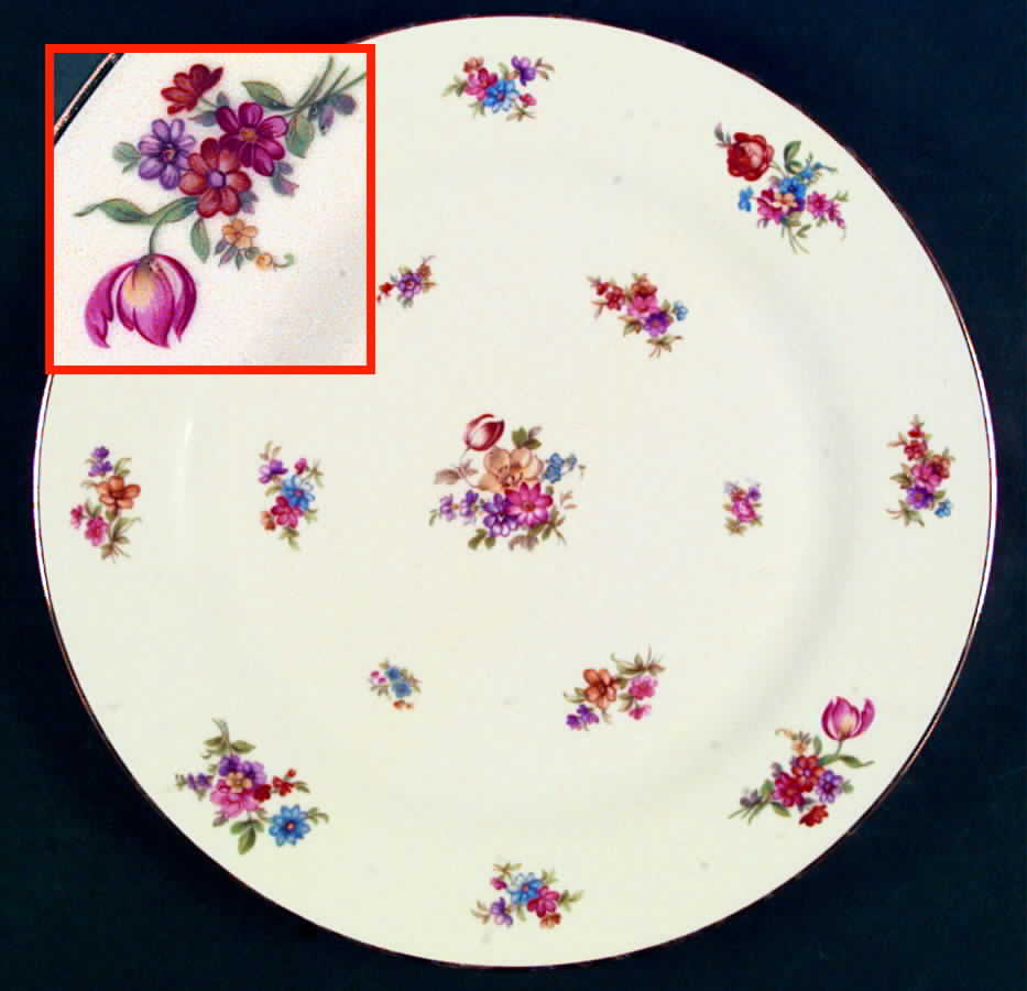 TIR280 Dinner Plate by Tirschenreuth-1