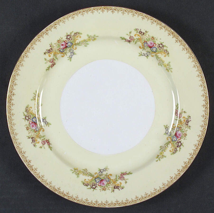 TSW9 Dinner Plate by Transor Ware (Japan)-1