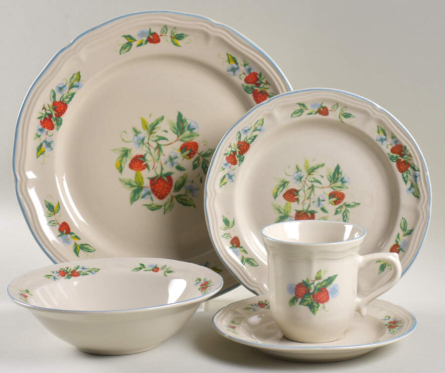 Susana 5 Piece Place Setting by Tabletops Unlimited-1