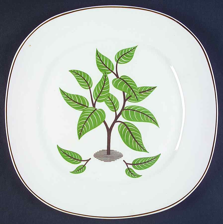 Coffee Tree (Brown Ring) Dinner Plate by Taylor, Smith & Taylor (Ts&T)-1