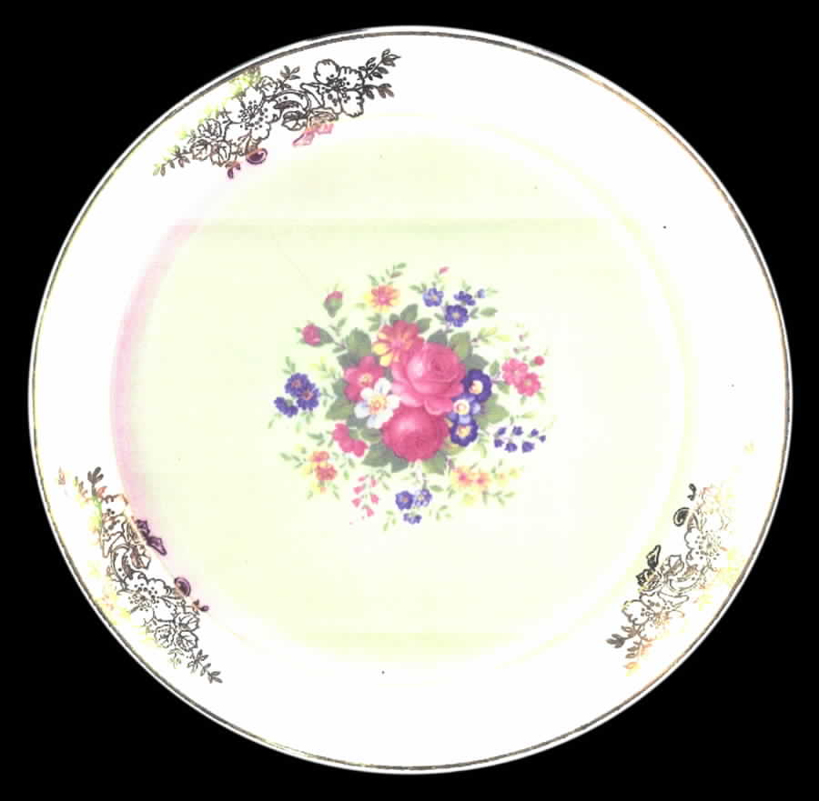 TST512 Dinner Plate by Taylor, Smith & Taylor (Ts&T)-1