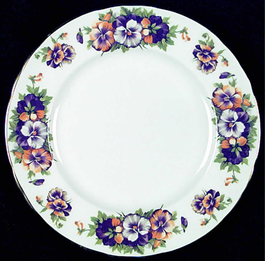 C9449 Salad Plate by Tuscan - Royal Tuscan-1