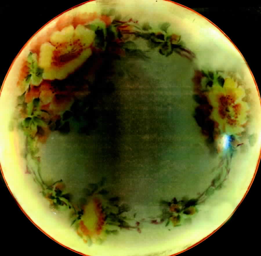 THO252 Dinner Plate by Thomas-1