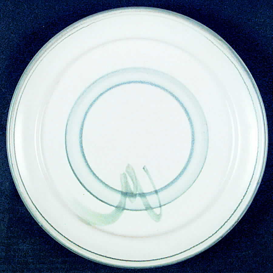 THO254 Dinner Plate by Thomas-1