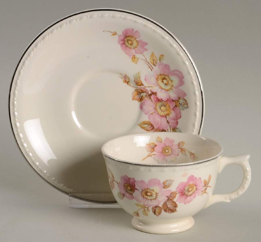 TST534 Footed Cup & Saucer Set by Taylor, Smith & Taylor (Ts&T)-1