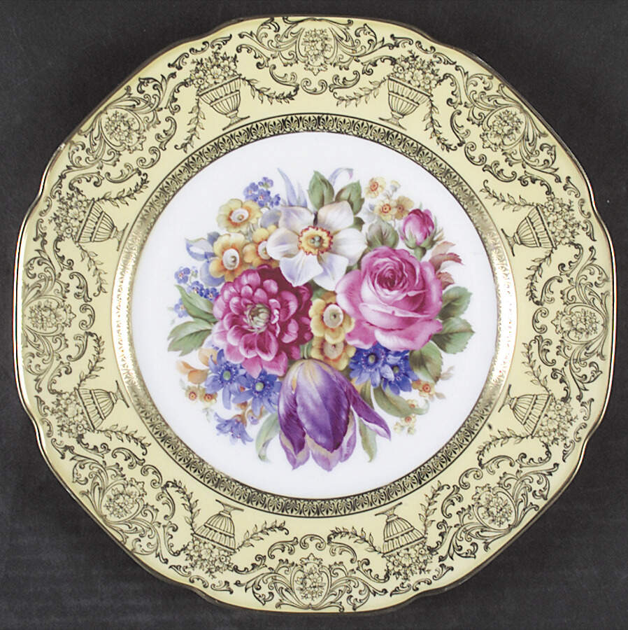 TIR307 Dinner Plate by Tirschenreuth-1