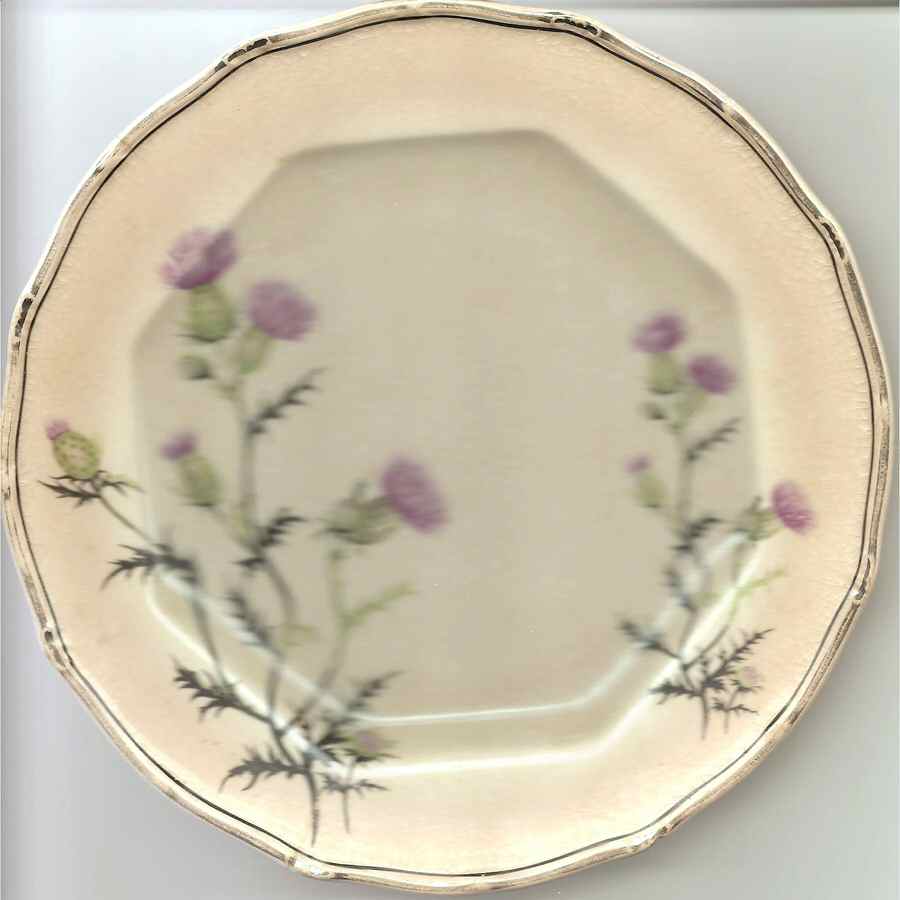 TST536 Salad Plate by Taylor, Smith & Taylor (Ts&T)-1