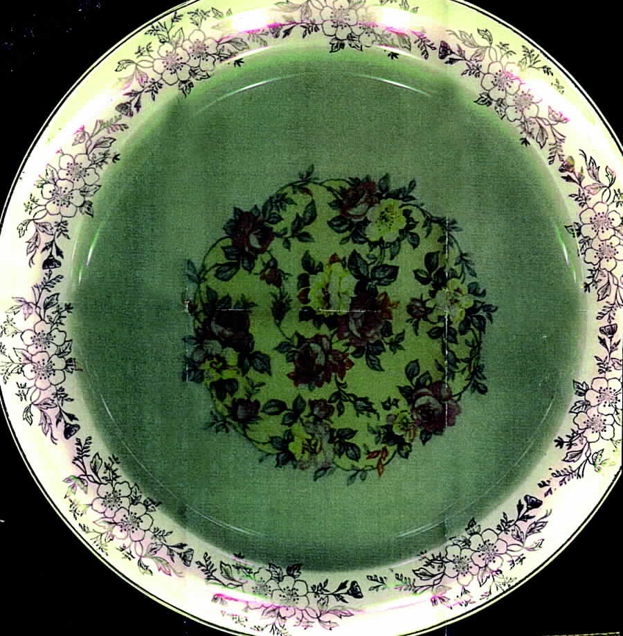 TST537 Dinner Plate by Taylor, Smith & Taylor (Ts&T)-1
