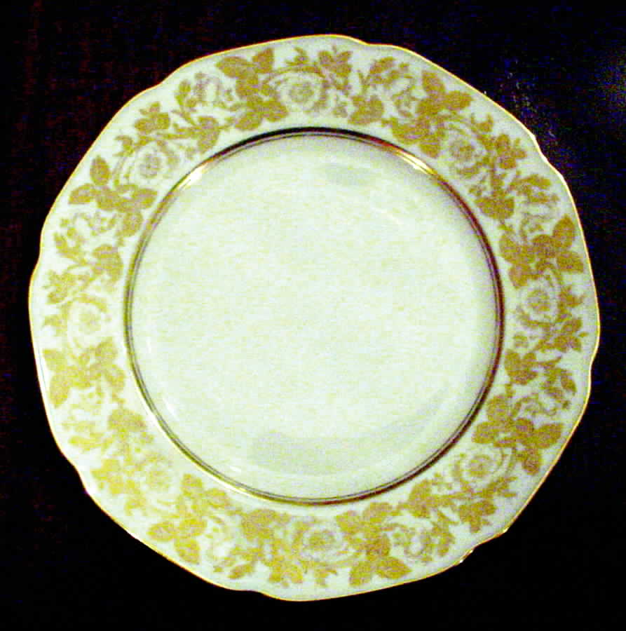TIR310 Dinner Plate by Tirschenreuth-1