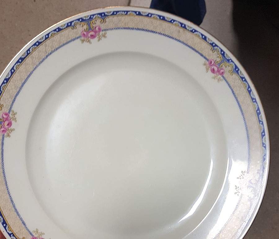 3384 Dinner Plate by Thomas-1