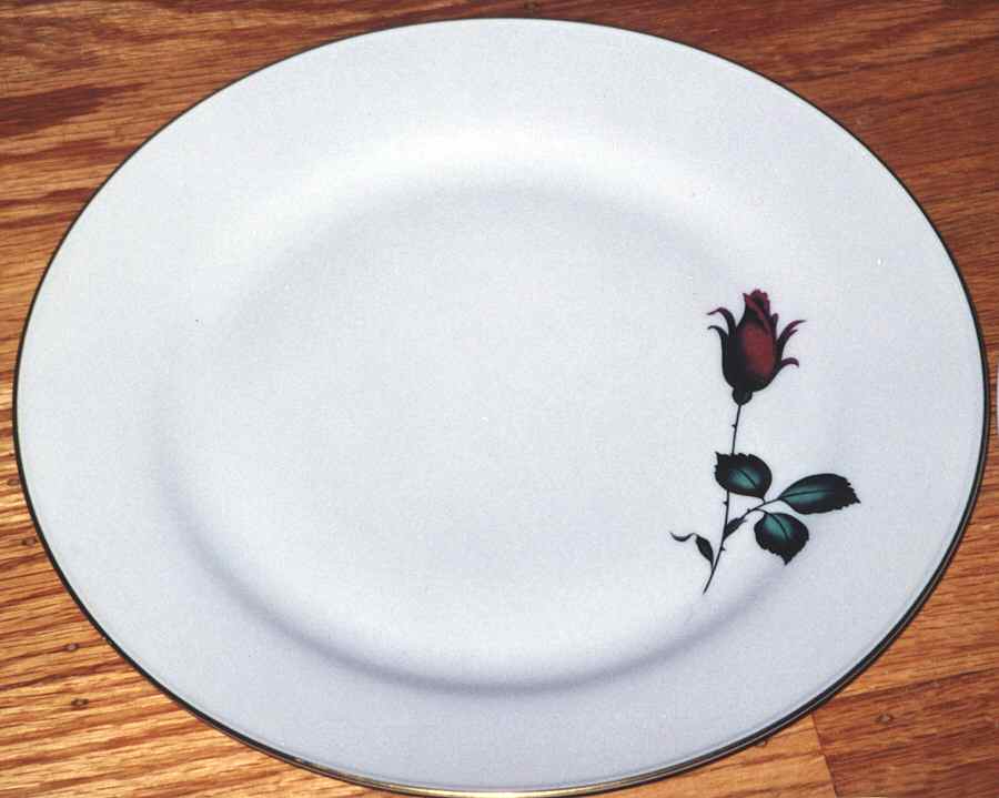 TIR311 Dinner Plate by Tirschenreuth-1