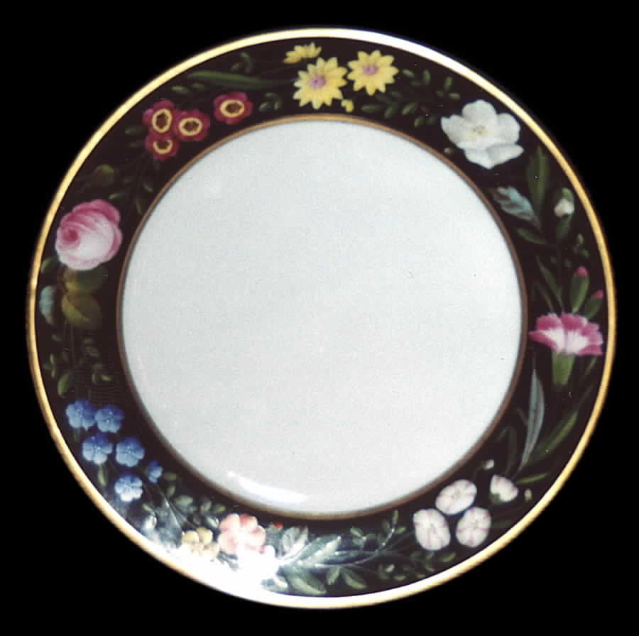 TIR312 Dinner Plate by Tirschenreuth-1