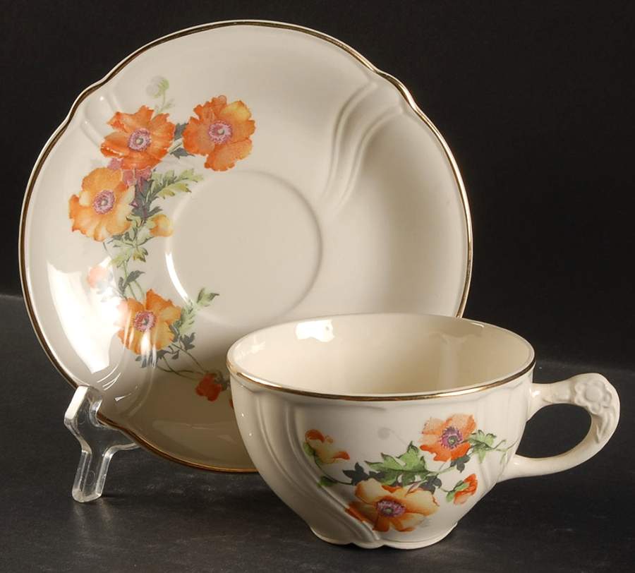 Wild Poppy (Vogue, Swirl) Footed Cup & Saucer Set by Taylor, Smith & Taylor (Ts&T)-1