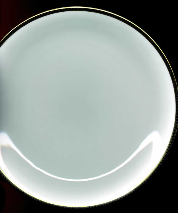 THO264 Dinner Plate by Thomas-1