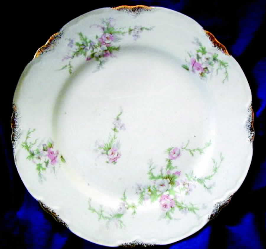 TST557 Dinner Plate by Taylor, Smith & Taylor (Ts&T)-1