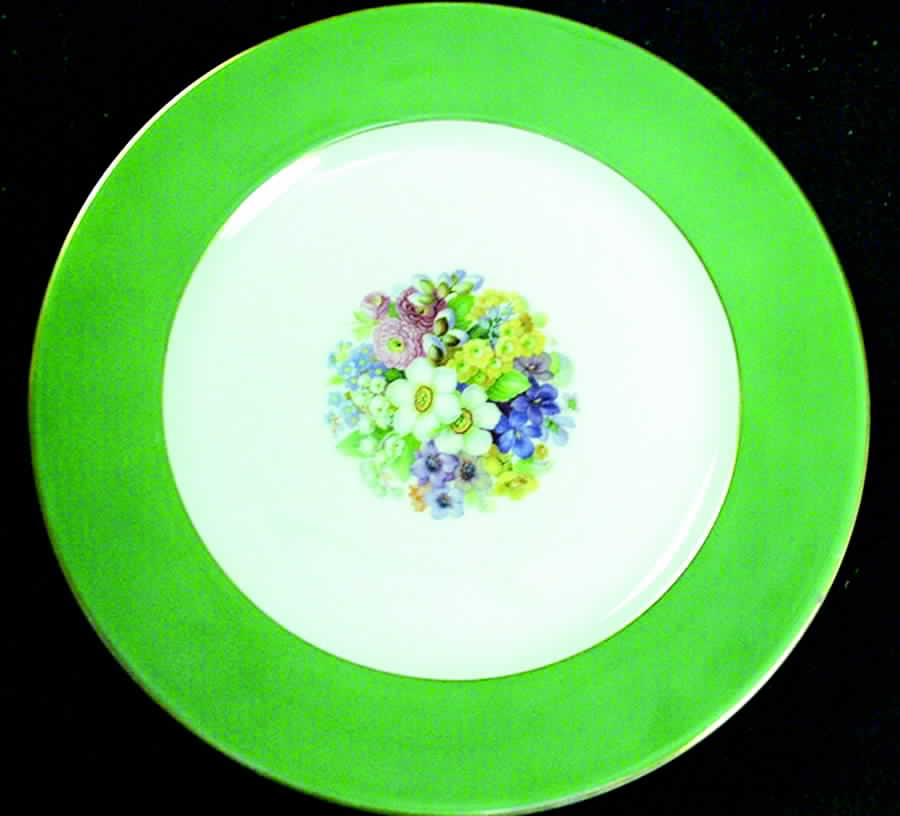 THO268 Dinner Plate by Thomas-1