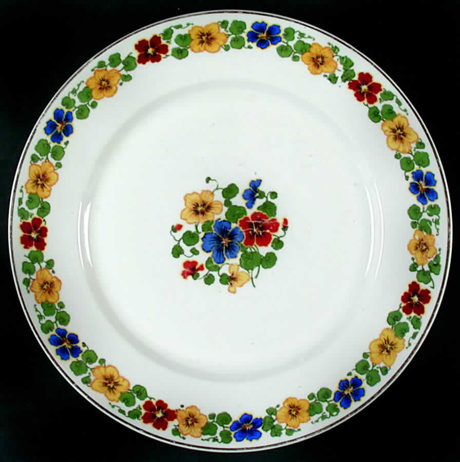 16833 Dinner Plate by Thun-1