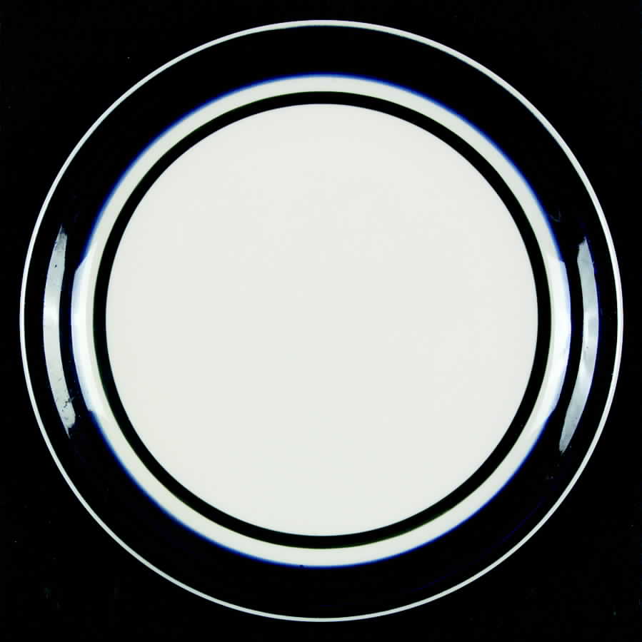Kitchen Basics Cobalt Green (Wide Band) Salad Plate by Tienshan-1