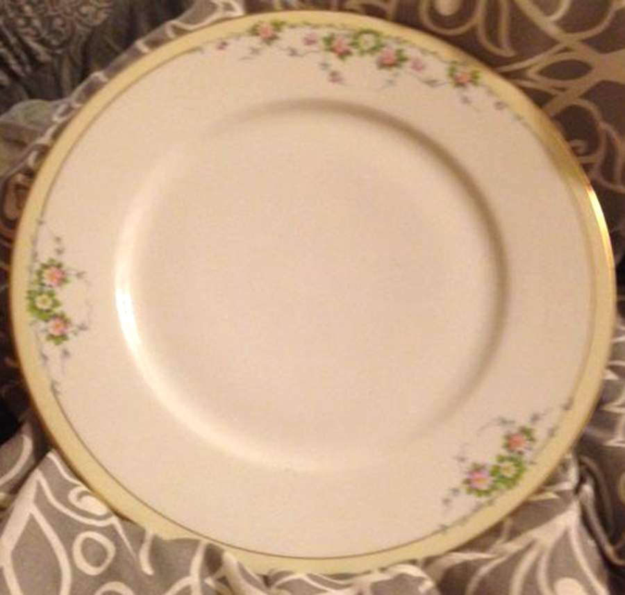 16219 Dinner Plate by Thun-1