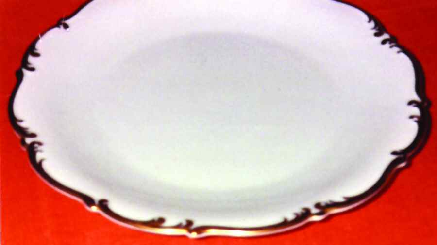 TIR322 Dinner Plate by Tirschenreuth-1