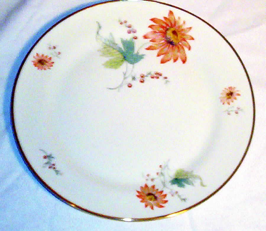 TIR323 Dinner Plate by Tirschenreuth-1