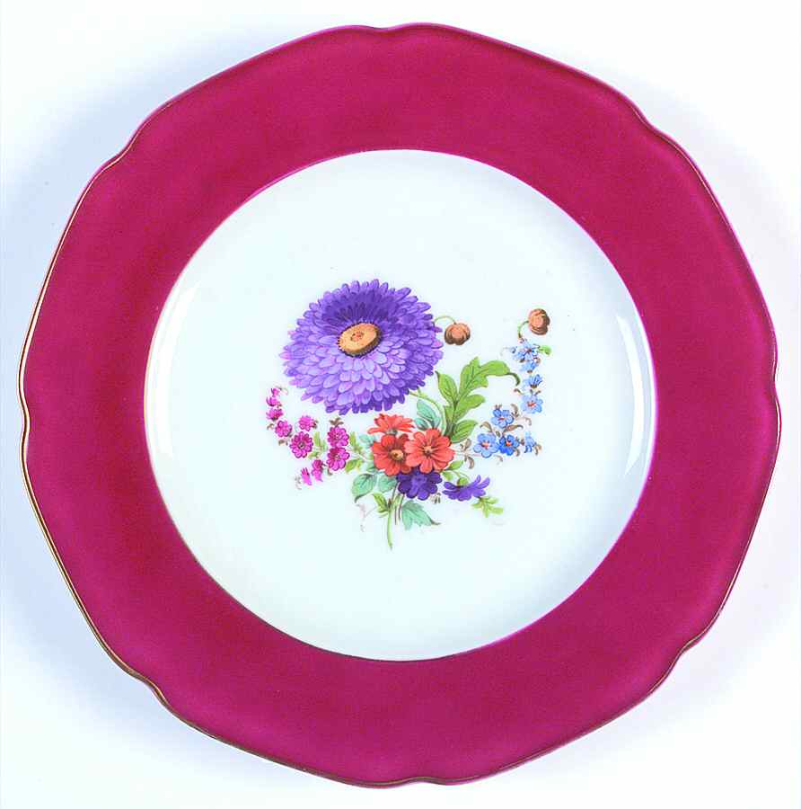 TIR325 Dinner Plate by Tirschenreuth-1
