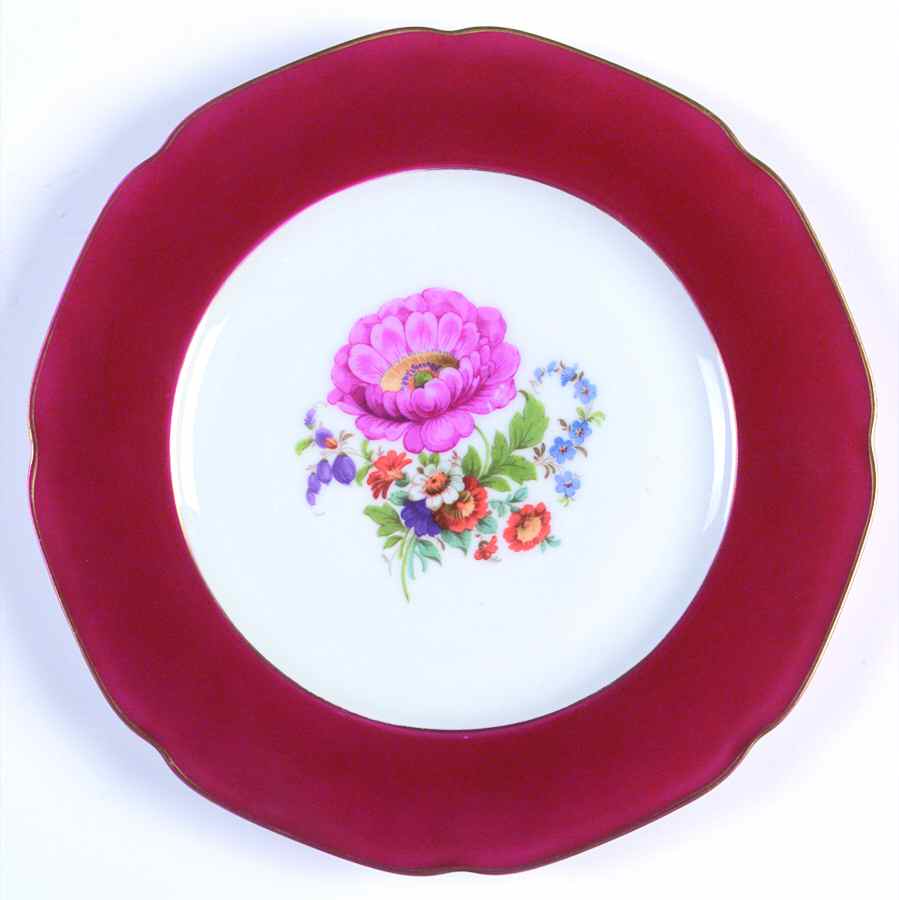 TIR325 Dinner Plate by Tirschenreuth-1