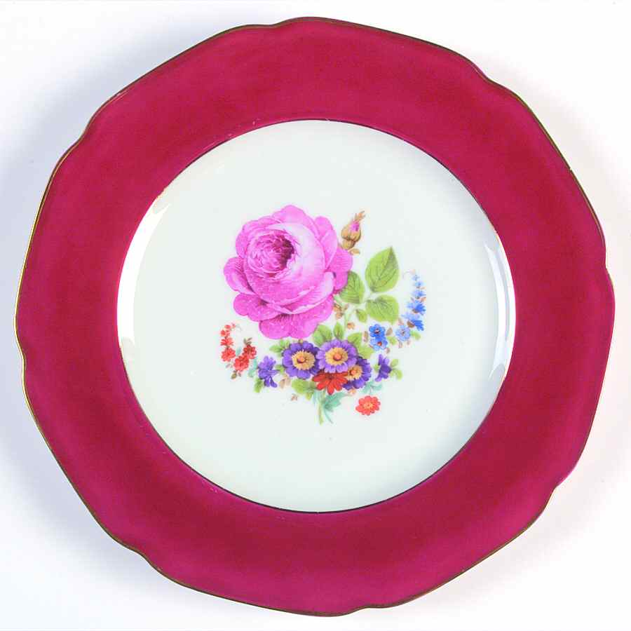 TIR325 Dinner Plate by Tirschenreuth-1