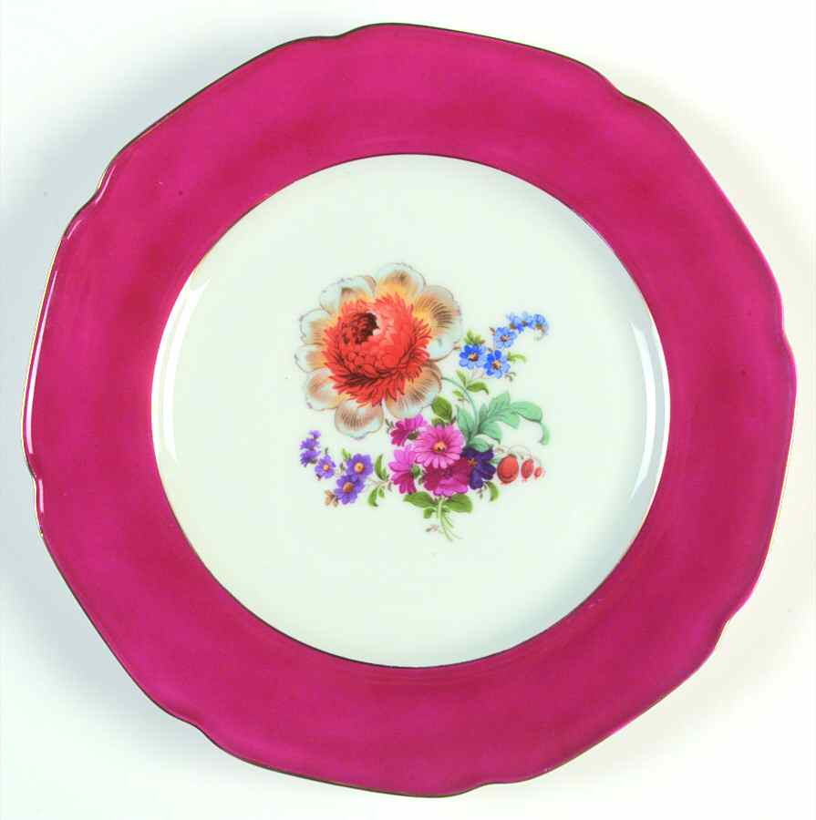 TIR325 Dinner Plate by Tirschenreuth-1
