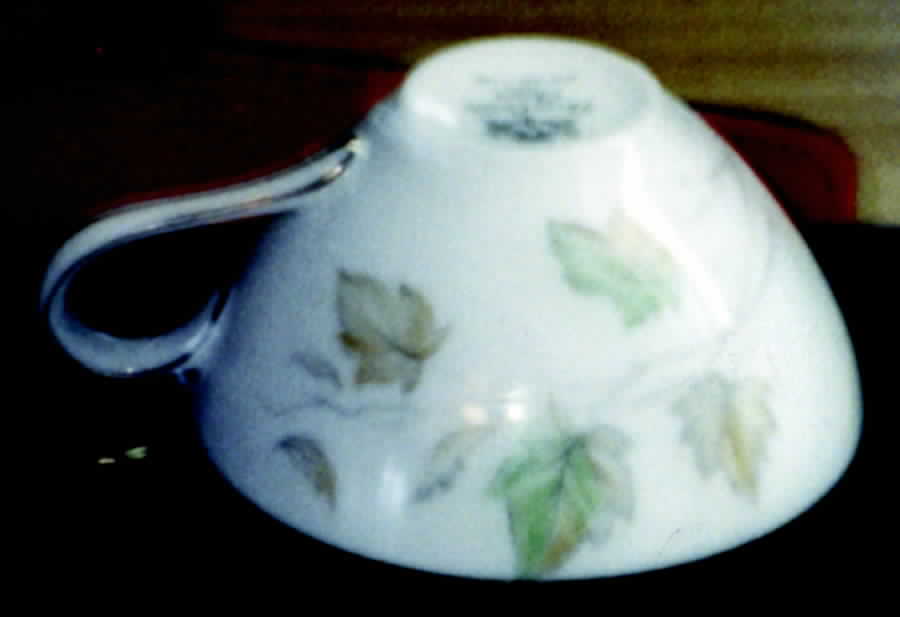 Harvest Time Flat Cup by Three Castle-1