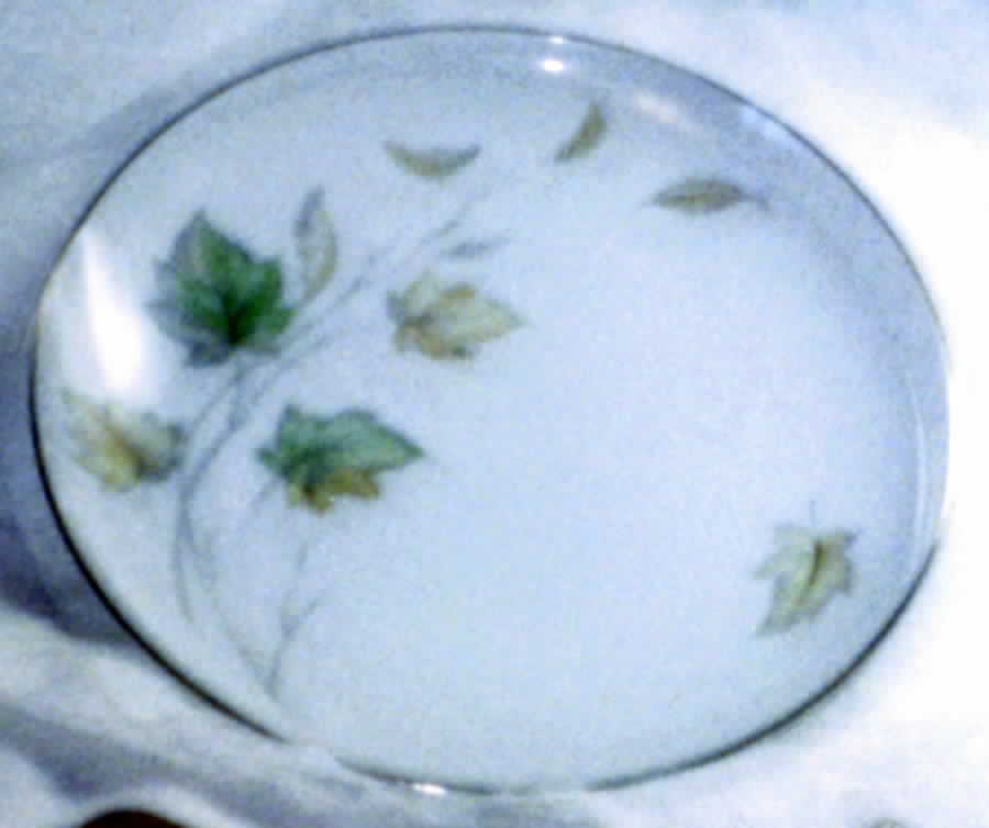 Harvest Time Salad Plate by Three Castle-1