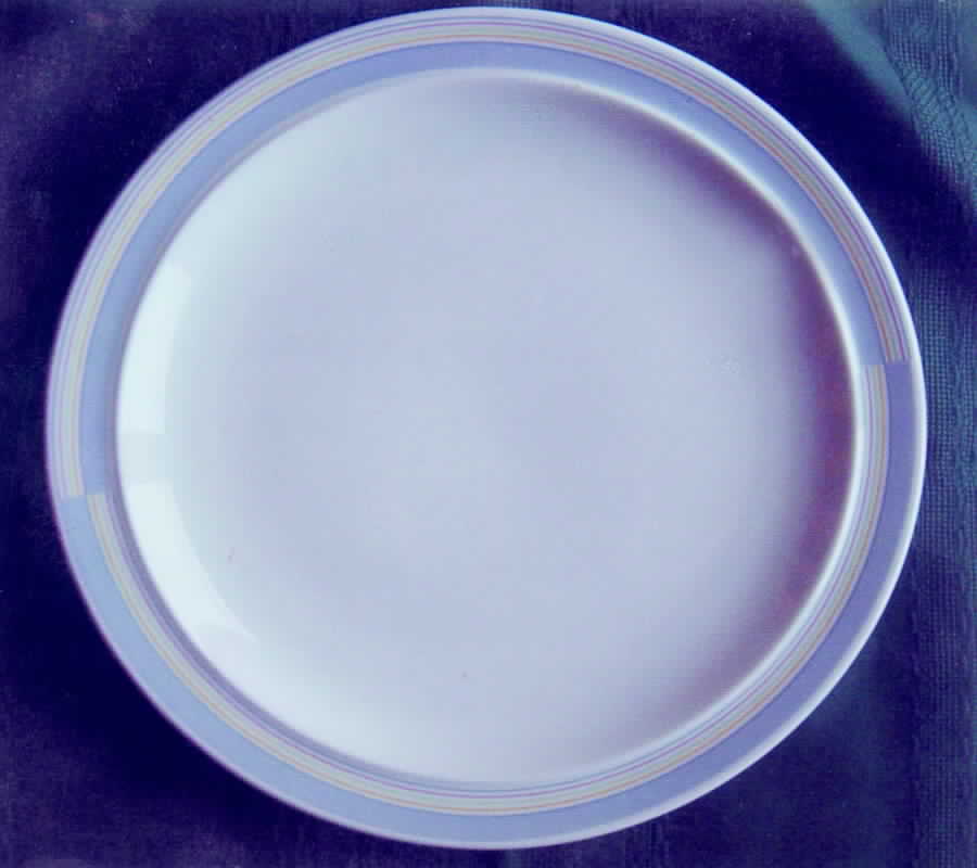 THO278 Dinner Plate by Thomas-1