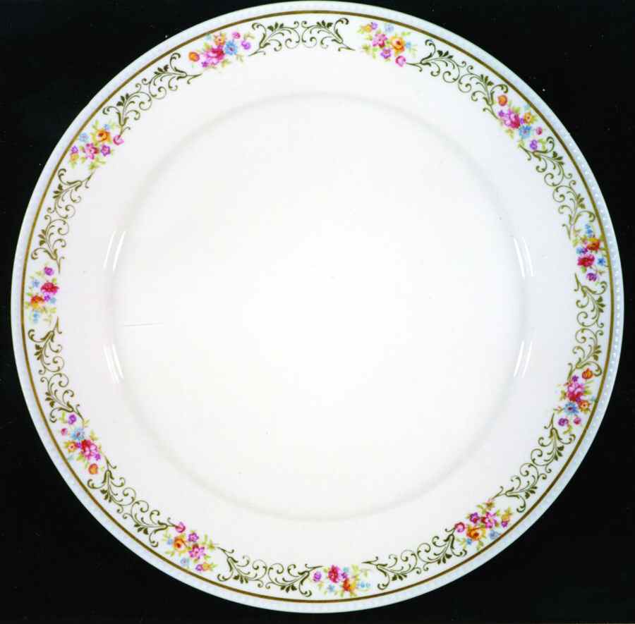 TIR329 Dinner Plate by Tirschenreuth-1