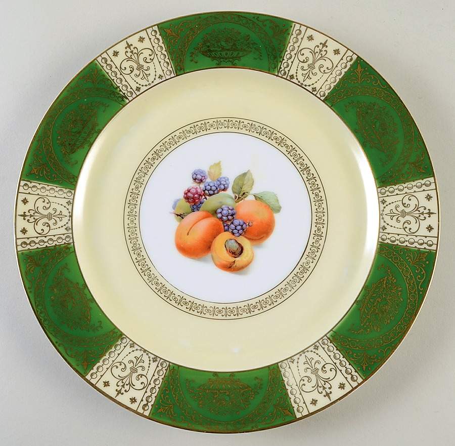 TIR330 Dinner Plate by Tirschenreuth-1